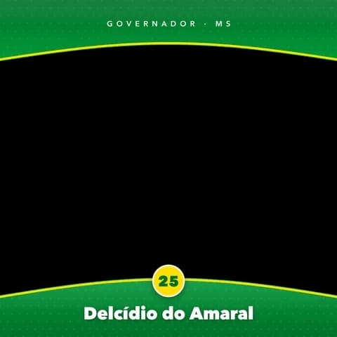 Delcídio do Amaral Moldura Cheia 10
