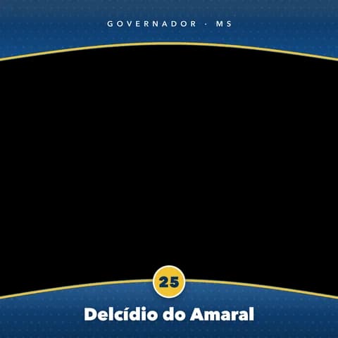 Delcídio do Amaral Moldura Cheia 2
